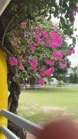 Touring a quirky themed attraction in Na Chom Thian, Thailand
