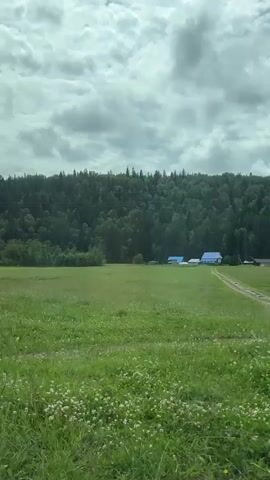 This video shows a view from a moving vehicle looking out at a rural landscape. The scene is dominated by a large, green grassy field. In the background, a dense forest covers a hillside. Scattered within the field are a few buildings, appearing to be houses with blue roofs and a gray, shed-like structure. Utility poles with wires are also visible in the field. The sky is cloudy, suggesting overcast weather. The camera perspective is slightly angled, giving the impression of movement along a dirt or gravel road that borders the field on the right side. The overall impression is of a tranquil, natural setting.