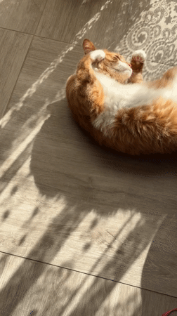Quiet afternoon moments captured across Bar, Montenegro