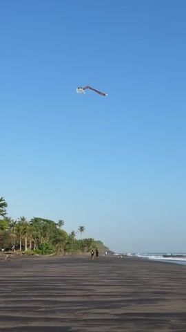 A vertical video captures a long, striped fabric object, resembling a kite or windsock, flying and undulating in a clear blue sky. The object is predominantly colored in red, orange, yellow, and black stripes, with white sections at its ends. Below the flying object, a wide black sand beach stretches out, with ocean waves visible on the right. A line of green trees, including palm trees, borders the beach on the left. Two small, indistinct figures are seen walking along the distant shoreline. The scene is brightly lit under a clear daytime sky.
