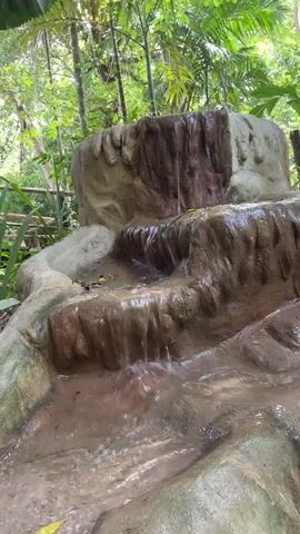 A small waterfall cascades over a multi-tiered rock structure in a lush, green environment. The water is a murky brown, and leaves and debris are visible on the rocks and in the water. The background is filled with dense foliage and palm trees. The scene appears to be outdoors, possibly in a tropical setting. The lighting suggests it is daytime.