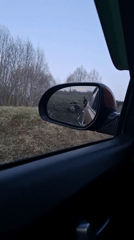 Overturned quad bike incident observed near Dubrova, Russia