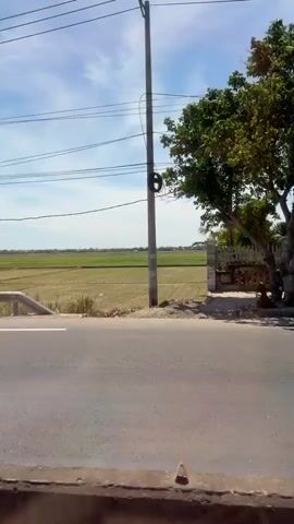 A person stands on a street next to a tree. A house with a fence is visible in the background. A yellow construction vehicle is parked on the side of the road. The sky is blue with some clouds. The video pans to the right showing a construction site with various vehicles and equipment.