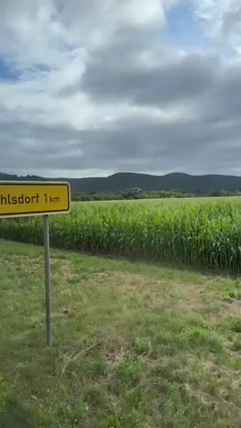 The video shows a moving view of a rural landscape. In the foreground, there is a field of tall, green corn stalks, bordered by dry grass and dirt. In the background, a dense forest lines the base of rolling hills under a cloudy sky. Trees with green leaves are visible on the right side of the frame, appearing to move closer and then further away, suggesting the camera is in a vehicle. The overall impression is of a calm, natural setting, possibly during a car ride through the countryside.