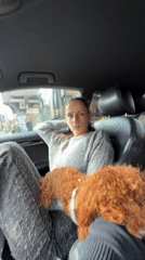 Everyday moments documented across Sofia parking areas and streets