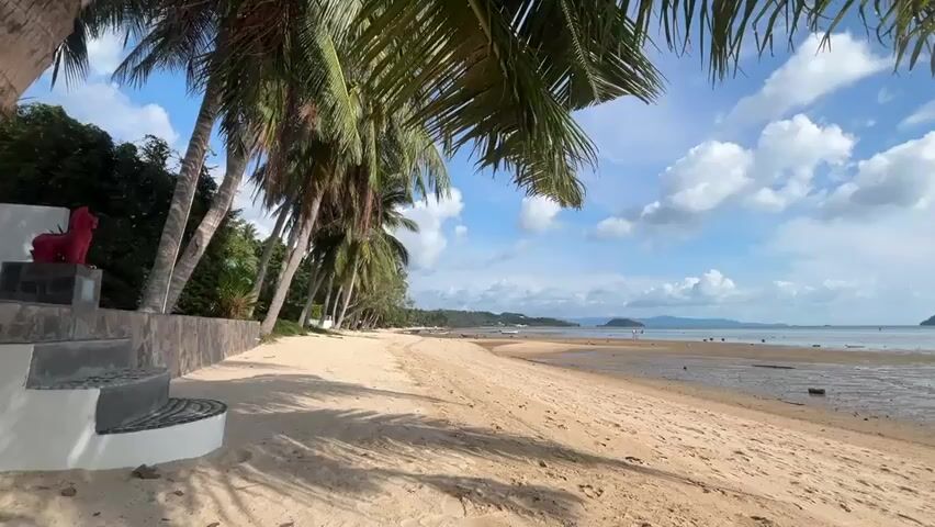 The camera captures a still, medium-shot view of a sandy beach framed by palm trees on a sunny day. The beach stretches out horizontally, meeting the ocean in the distance. Several islands are visible on the horizon. The sky is a bright blue, dotted with fluffy white clouds. Palm trees line the edge of the beach, their fronds casting shadows across the sand.  To the left of the frame is a low concrete wall with a set of steps leading up to it. Perched on top of the wall is a bright red sculpture of a dog. The sand is golden and wet near the water. There is a small boat on the water and a couple of people walking on the exposed sand flats at low tide.