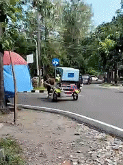 Daily street life documented in Surakarta, Indonesia
