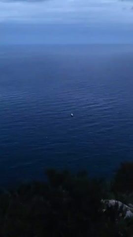 From an elevated vantage point, a small white boat with a red light on top is seen in a dark blue ocean. The sky is overcast. In the foreground are dark green trees and rocks. The boat is stationary on the water. The water is slightly choppy.