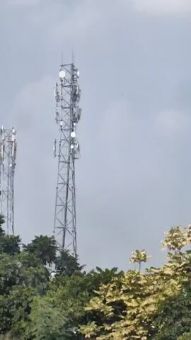 The video shows a sequence of shots of cell towers interspersed with shots of dense green foliage. The cell towers are tall, metallic structures equipped with various antennas and dishes. One shot also includes a vehicle with a colorful cargo or decoration. The sky is overcast, suggesting a cloudy day. The camera appears to be in motion, possibly from a moving vehicle, as indicated by the slight blur in some frames and the changing perspectives.