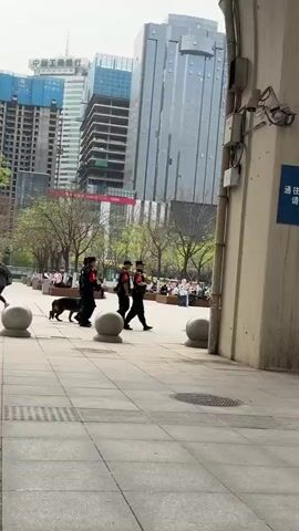 The video shows four people wearing black uniforms and red armbands walking from left to right. They are accompanied by a German Shepherd dog. The individuals appear to be security personnel. They are walking on a paved area in front of a modern building. There are trees on the left side of the frame and people are seen sitting on benches in the background.