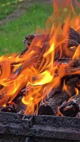 This is a close-up, vertical video of a campfire burning in a metal grill. The flames are a bright orange and yellow, with some embers visible. The wood is charred and broken. The background is blurred green grass. The video is very short, showing the flames flickering and dancing.