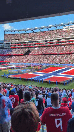 Giant Danish-style flag unfurled on packed Foxborough stadium field
