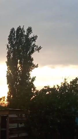 The video shows a hazy, overcast sky with the sun faintly visible behind clouds. In the foreground, a person's hand is making a finger heart gesture. Trees and some structures, possibly sheds or outbuildings, are visible in the background. The scene appears to be outdoors in a rural or semi-rural setting. The lighting suggests it is either sunrise or sunset.