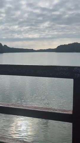 A video shows a body of water with a wooded shoreline under a cloudy sky. In the foreground is a dark-colored railing with graffiti written on it. The camera pans slowly across the scene from left to right.