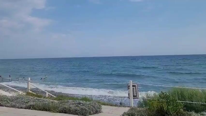 A wide shot of the ocean on a cloudy day. The water is a deep blue with white waves breaking on the shore. There are a few people swimming in the water in the distance. There is a white fence running along the beach, and some green bushes and grass in the foreground. The sky is a pale blue with white clouds.