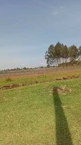 The camera observes a field of green grass on a sunny day. In the background, a road runs horizontally across the frame, lined with a row of trees. A white van with a heavily loaded rack on its roof drives along the road from right to left. A small structure of wood and metal poles and a sunshade sits in the foreground. The sky is a clear blue with a few scattered clouds. The camera pans slightly.