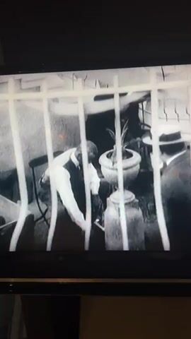 This is a black and white video clip, possibly from the early 20th century, showing a scene at a building with a grand facade.

In the foreground, through a series of vertical bars which might be a fence or gate, a person in a light-colored shirt and dark vest is tending to something on the ground. Beside them, a large metal jug or container is visible, as is a potted plant. The overall impression is one of a domestic or perhaps an operational area behind a barrier.

The scene then shifts to an exterior view of a large, ornate building. The architecture suggests a grand house or possibly a public institution, with arched windows and balconies. Lush vegetation surrounds the building, with trees and manicured plants in the foreground. Several people are visible in the distance, appearing to be walking or gathered in front of the building. The ground in front of the building is a large, paved area, possibly a courtyard or driveway.

There is no visible text in the clip. The lighting suggests it could be daytime, but the lack of clear shadows and the grainy quality make it difficult to determine the exact time of day or weather conditions. The overall mood is neutral and observational, with no strong emotional cues. The reference to Bern, Switzerland, provides a geographical context for the location of the building.