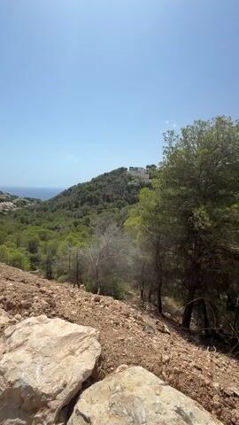 The video pans across a bright, sunny outdoor scene. In the foreground, rough, rocky terrain is visible, with large light-colored rocks. Behind this, a hillside covered in dense green trees slopes down. Further in the distance, more hills are visible, also covered in trees, and dotted with white buildings, suggesting a residential area. The sea can be seen in the far distance between the hills, and the sky is a clear, vibrant blue with no clouds. The sun is bright, casting a glare on the lens at times, particularly in the first few seconds. No people or animals are visible.