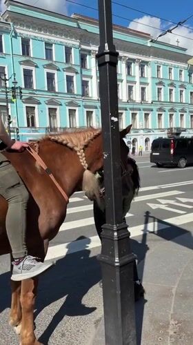 Sunny afternoon exploring Saint Petersburg's canals and landmarks
