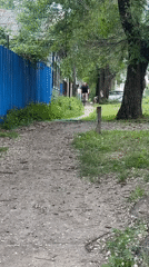 Bike ride through Blagoveshchensk backstreets with a dog in tow