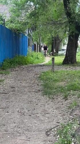 Bike ride through Blagoveshchensk backstreets with a dog in tow