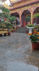 Rain shower documented at Vietnamese Buddhist temple complex