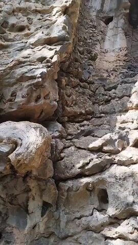 The video pans up a rocky cliff face, revealing a dark opening, possibly a cave or crevice, at the top. The rocks are textured and layered, with evidence of erosion. Green foliage hangs down from above the opening.