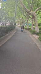 Scooter rider travels tree-lined path in Xuanwu District