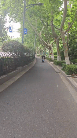 Scooter rider travels tree-lined path in Xuanwu District