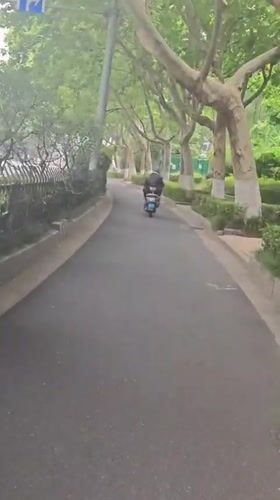 Scooter rider travels tree-lined path in Xuanwu District