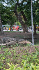 Monitor lizard spotted in Bangkok park near Dusit Central