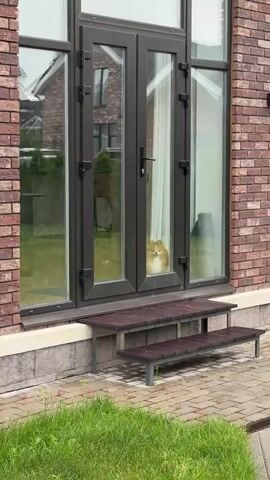 A Pomeranian dog looks out from behind a glass door. The dog is light brown and white with fluffy fur and is positioned in the center of the frame. The door has dark brown frames and is part of a building with a brick exterior. There are two wooden steps leading up to the door. The ground outside is paved with cobblestones and there is some green grass visible. The lighting suggests it is daytime.