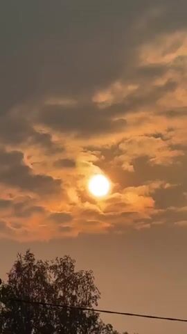 A still video shows a sunset with clouds and trees. The sun is visible in the center of the frame, partially obscured by clouds. The clouds are illuminated by the setting sun, casting an orange glow. The bottom of the frame shows the silhouette of trees and possibly a power line.