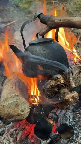 A black kettle hangs over a campfire, suspended from a branch. Flames lick the sides of the kettle, and smoke rises from its spout. The campfire is made of logs and branches, and embers glow at the bottom. The background is blurred, but appears to be an outdoor setting with trees and foliage. The video is shot from a close-up perspective, focusing on the kettle and the fire.