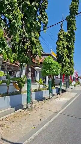 The video shows a street scene with buildings and trees. There are red and white flags decorating the buildings. A person is riding a bicycle on the side of the road. The sky is clear and blue.
