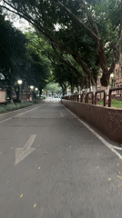 Pedestrian travels tree-lined path in Yuzhong District, China