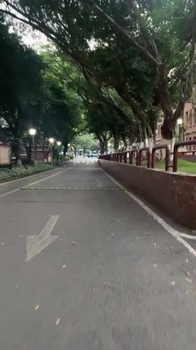 Pedestrian travels tree-lined path in Yuzhong District, China