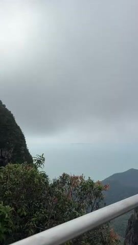 A panoramic video shows a person filming with their phone from a walkway overlooking a vast ocean and lush green mountains. The walkway, constructed with metal railings and a central tower with cables, is populated with other tourists enjoying the view. The sky is overcast, creating a hazy atmosphere. The scene is likely a tourist attraction with a scenic overlook.