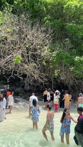 A group of people stand on a sandy beach near the edge of clear water. The background is dominated by a large, rocky cliff covered in dense green foliage and a prominent, leafless tree with intricate branches. Several individuals are wading in the shallow water, while others are standing on the sand. The people are dressed in casual beachwear, including swimsuits and cover-ups. The weather appears to be sunny. The scene captures a moment of leisure and exploration in a tropical environment.