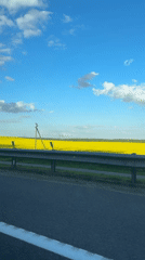 Driver captures spring countryside scene in rural Belarus
