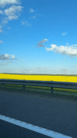 Driver captures spring countryside scene in rural Belarus