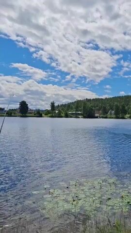 The video shows a serene lake scene on a sunny day. The water is calm and reflects the blue sky with scattered white clouds. Lily pads are visible floating on the surface of the water near the shore. A fishing rod is propped up on the grassy bank, indicating someone is fishing. In the background, a dense forest covers a hill, and a few houses are nestled among the trees. The overall impression is one of peaceful nature and outdoor recreation.