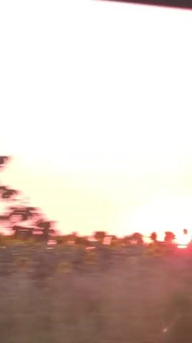 This media file captures a sunset in Altimir, Bulgaria, as seen from a moving vehicle. The primary subjects are the sky, trees, and foliage, all blurred due to the motion. The sky is dominated by vibrant pink and orange hues, indicative of a sunset. Silhouetted trees with intricate branches are visible, their forms distorted by the movement. Below the trees, a line of darker foliage suggests a landscape or fields.

The activity taking place is a car journey during sunset. The fast-moving perspective blurs the surroundings, creating streaks of color across the frame. The time of day is clearly sunset, with the sun appearing as a bright, glowing orb partially obscured by trees and haze. The weather appears clear, allowing for the dramatic colors of the sunset to be visible. There are no discernible people or specific objects within the frame, other than the natural elements and the implied vehicle. The overall mood conveyed is one of transient beauty and the fleeting nature of a sunset observed during travel. There is no visible text in the media file.