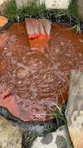 A high-angle shot shows a small, natural pool of reddish-brown water. The water is actively bubbling and disturbed by an unseen source, creating ripples and small waves. At the top of the frame, a piece of weathered, red-stained wood juts out from the edge of the pool, submerged partially in the water. The pool is surrounded by rough rocks and tufts of green grass. The overall impression is of a natural spring or a small geothermal feature.