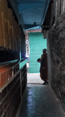 Daily life moments documented across Dharamshala streets and temples