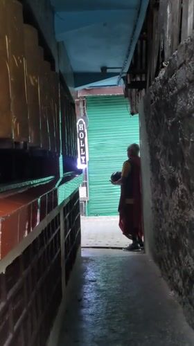 Daily life moments documented across Dharamshala streets and temples