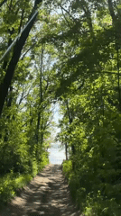 Woman enjoys popsicle in car near forest path