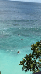 Dawn gathering at Indonesian clifftop deck draws swimmers, surfers