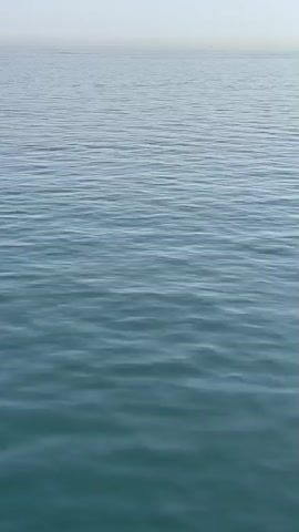 The video shows a wide expanse of calm, blue-green ocean water stretching to the horizon under a hazy, pale sky. The surface of the water has gentle ripples, creating horizontal lines across the frame. There are no visible people, boats, or landmasses. The overall impression is one of vastness and stillness.