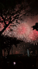 Fireworks light up the night sky over Đà Nẵng
